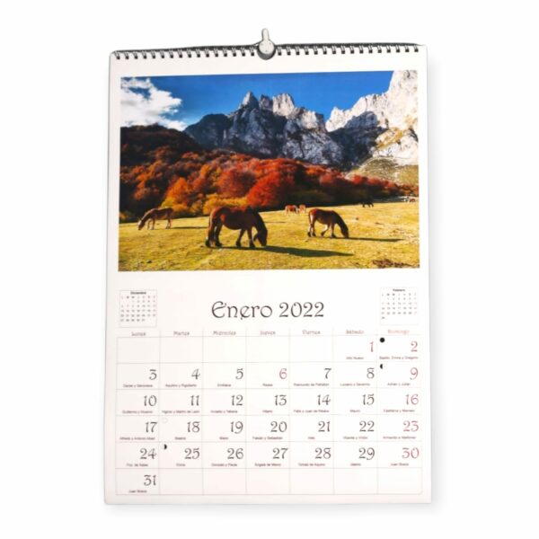 Calendario tipo planning con santoral